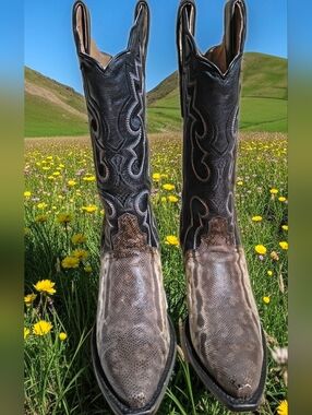 Women's Dan Post Snake Skin and Leather Cowboy Boots, Blk and Brn 8.5M Superb